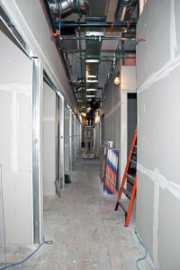 A row of staff offices is being created on the library’s seventh floor.